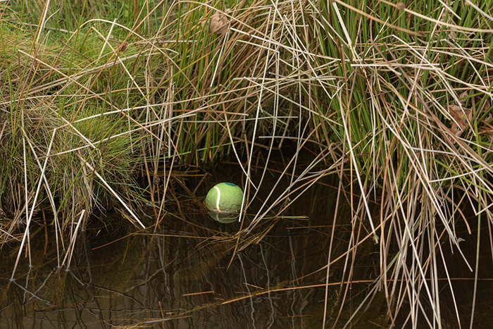 lost ball in stream